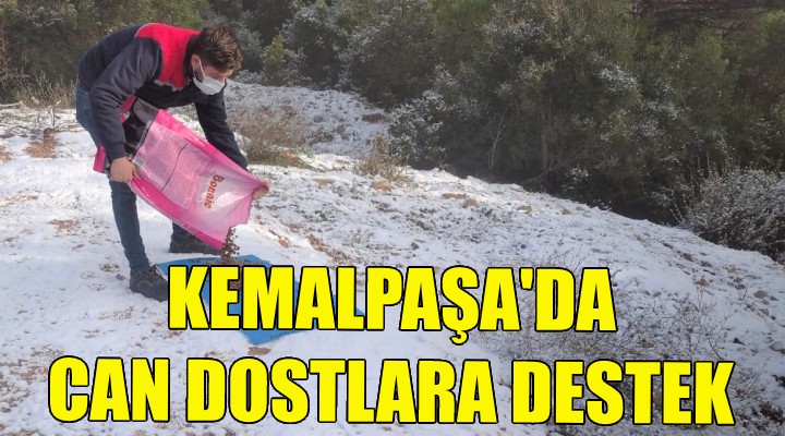 Kemalpaşa da can dostlara destek!