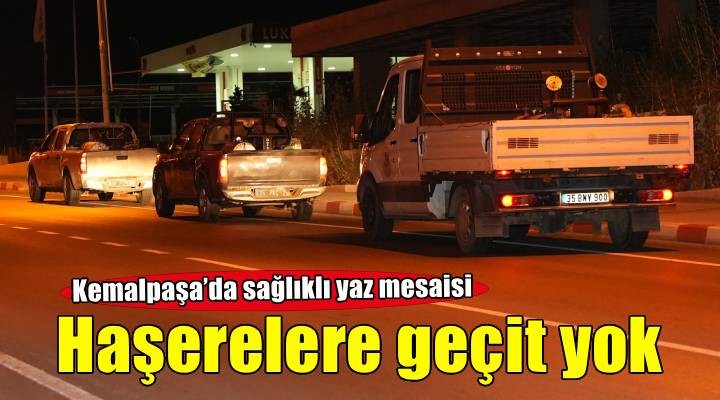 Kemalpaşa'da haşerelere geçit yok
