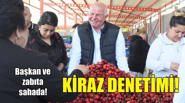 Kemalpaşa da kiraz denetimi!