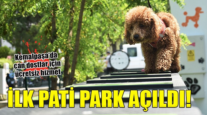 Kemalpaşa da ilk pati park açıldı...