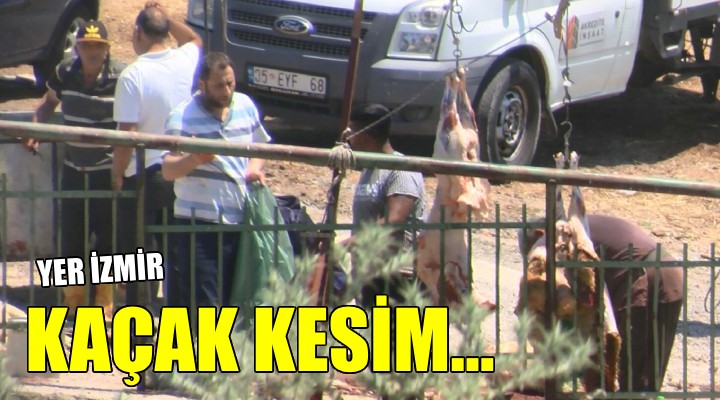 İzmir de kesim yeri karşısında kaçak kesim