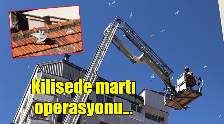 Kilisede martı operasyonu