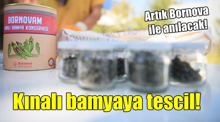 Kınalı bamyaya Bornova tescili! Artık böyle anılacak...