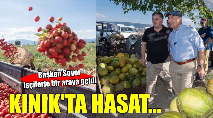 Kınık ta domates ve karpuz hasadı...