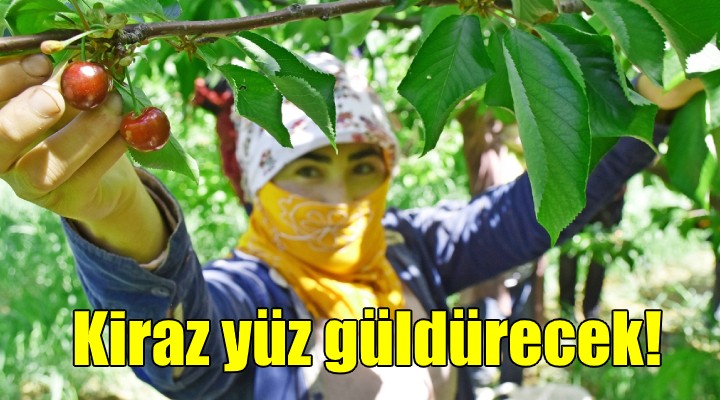 Kiraz yüzleri güldürecek!