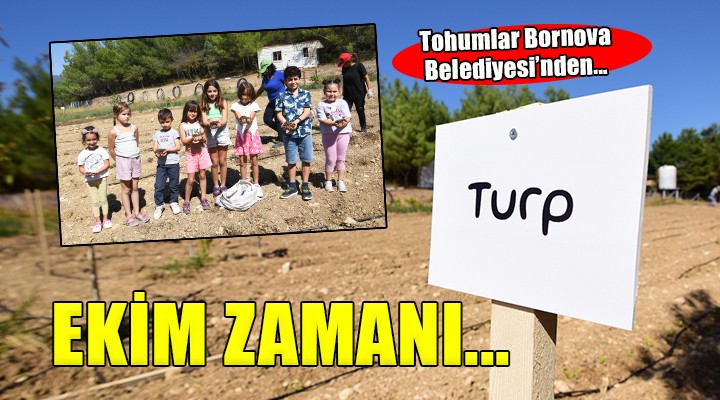 Kışlık sebze tohumları Bornova Belediyesi’nden...