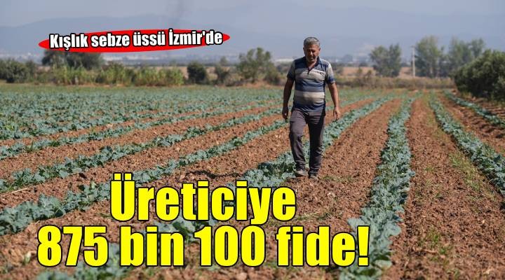 Kışlık sebze üssü İzmir, üretim gücünü yerli çeşitlerle artıracak