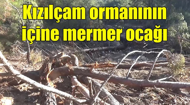 Kızılçam ormanının içine mermer ocağı!