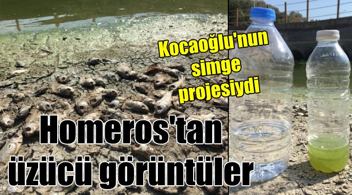 Homeros tan üzücü görüntüler...