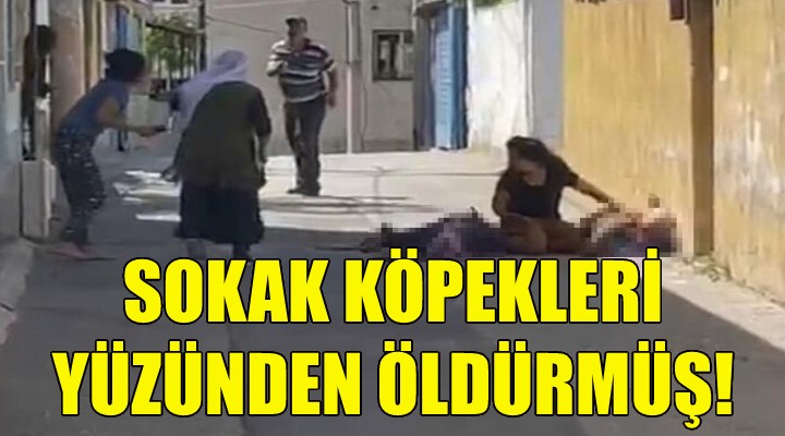 Komşularını sokak köpeklerini besledikleri için öldürmüş!