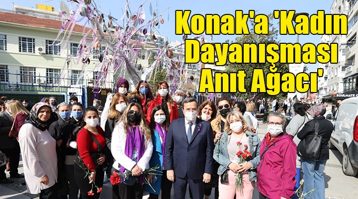 Konak a  Kadın Dayanışması Anıt Ağacı 