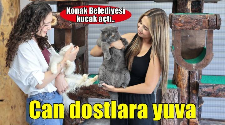 Konak, can dostlarının yanında