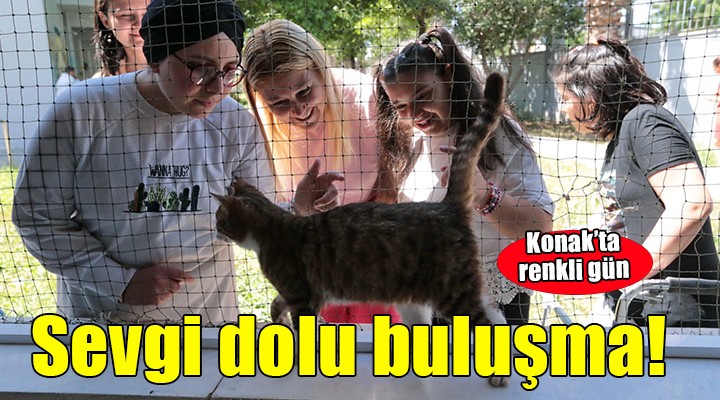 Konak ta sevgi dolu buluşma...