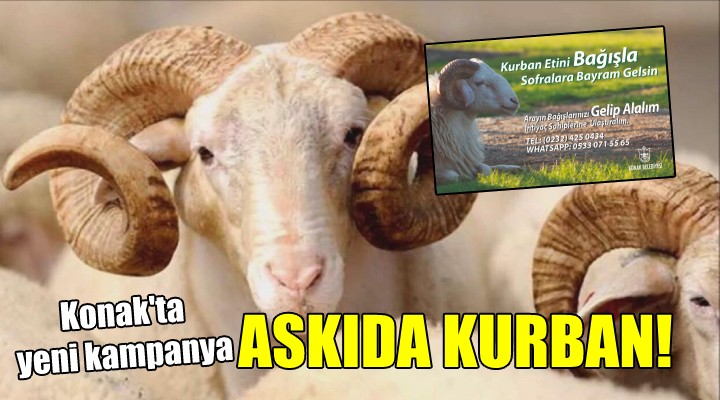 Konak ta yeni kampanya...  ASKIDA KURBAN 