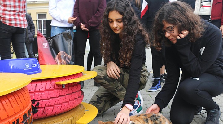 Konaklı öğrencilerin hayvan sevgisi