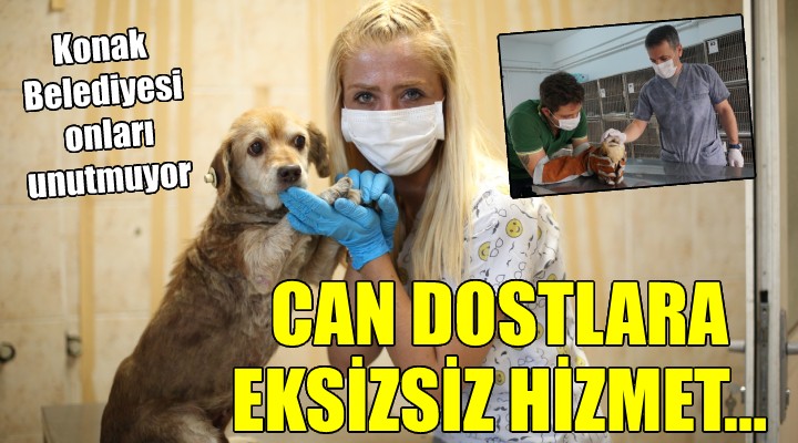 Konak’ta can dostlara eksiksiz hizmet