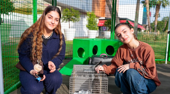 Konak’ta kalpler patili dostlar için attı