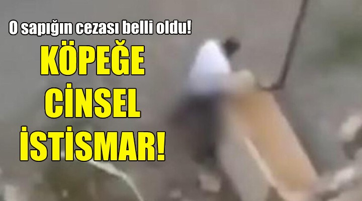 Köpeğe cinsel istismara 1,5 yıl hapis