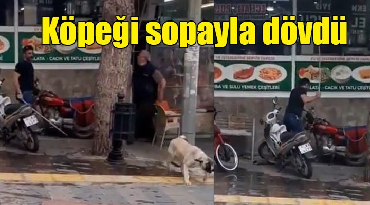 Köpeği sopayla dövdü