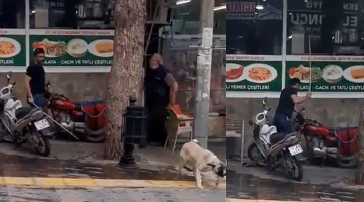 Köpeği sopayla döven adamın cezası belli oldu