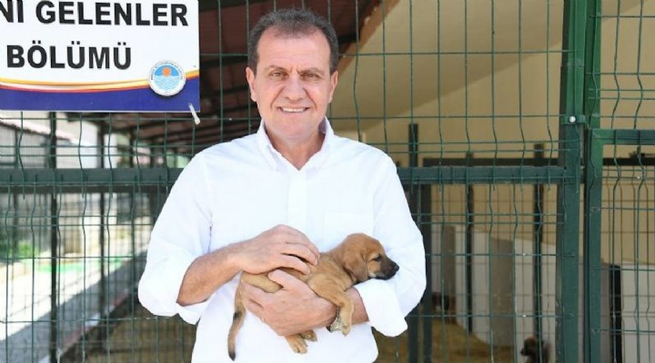 Köpek havladı diye CHP li başkana soruşturma!