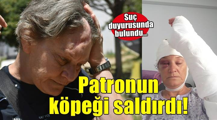 Köpek saldırısına uğrayan kadın korumadan eski patronuna suç duyurusu