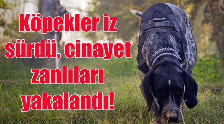 Köpekler iz sürdü, cinayet zanlıları yakalandı!