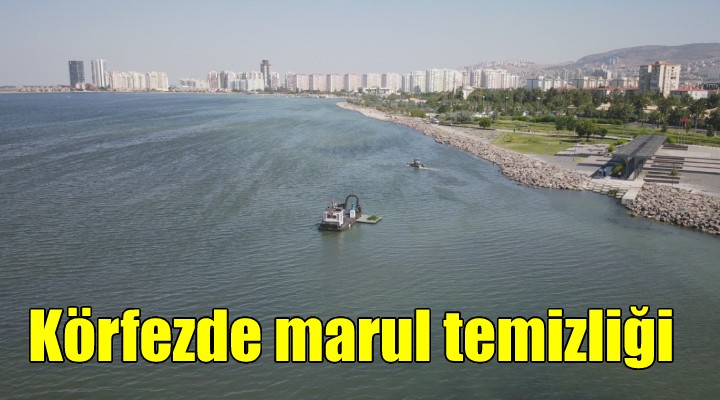 Körfezdeki marullar temizlendi