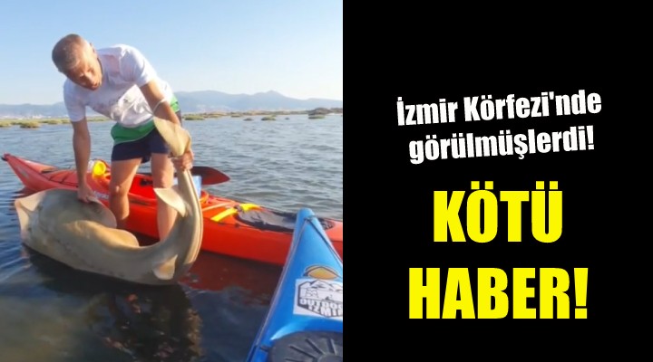 Kötü haber geldi!