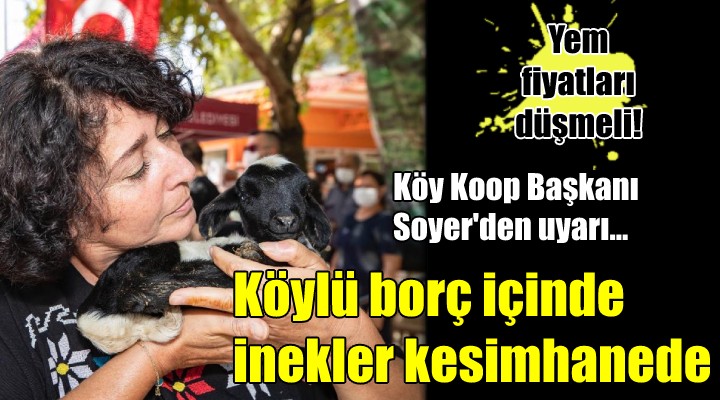 Köy Koop Başkanı Soyer den uyarı... KÖYLÜ BORÇ İÇİNDE, İNEKLER KESİMHANEDE!