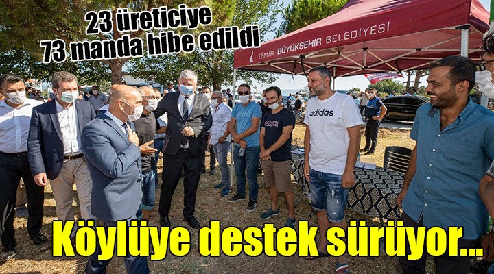 Köylüye destek sürüyor... 22 üreticiye 73 manda