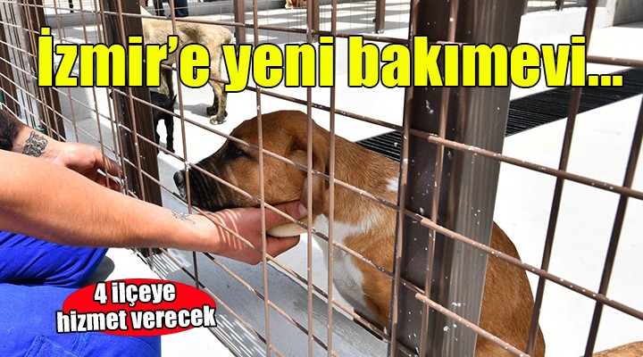 Küçük Menderes'e yeni hayvan bakımevi