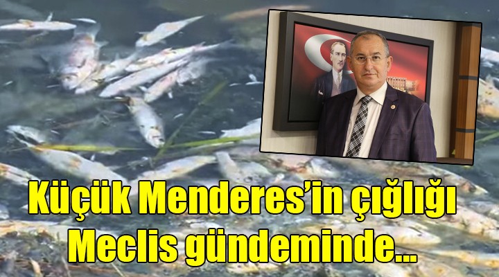 Küçük Menderes in çığlığı Meclis gündeminde