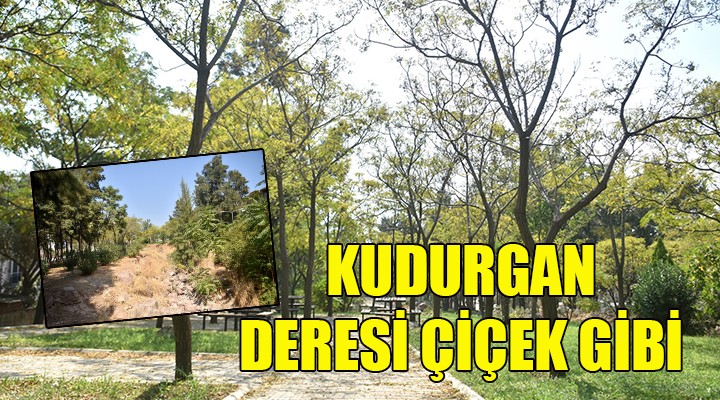 Kudurgan Deresi çiçek gibi