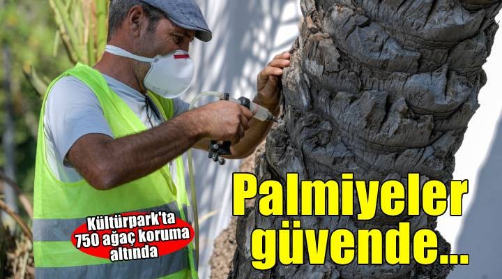 Kültürpark’ın palmiyeleri güvende