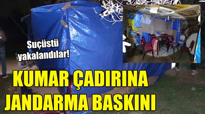 Kumar çadırına jandarma baskını!