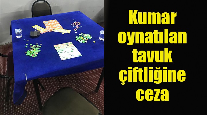 Kumar oynatılan tavuk çiftliğine ceza