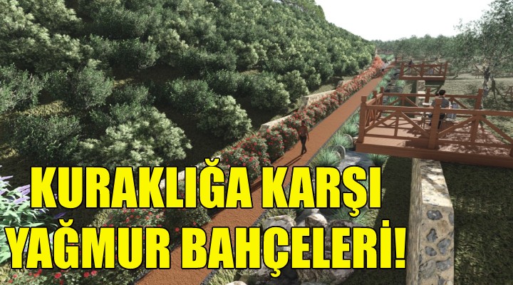 Kuraklığa karşı yağmur bahçeleri!