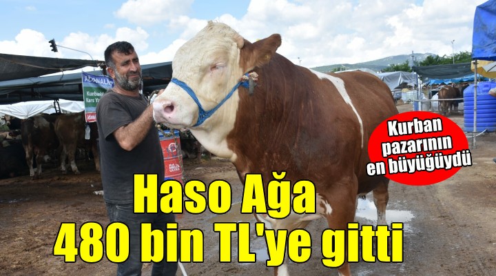 Kurban pazarının en büyüğü  Haso Ağa , 480 bin TL den satıldı
