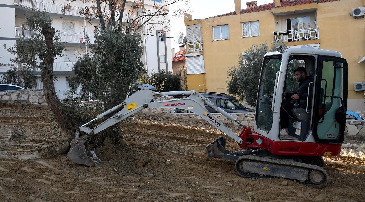 Kuşadası Belediyesi ağaçları kesilmekten kurtardı!