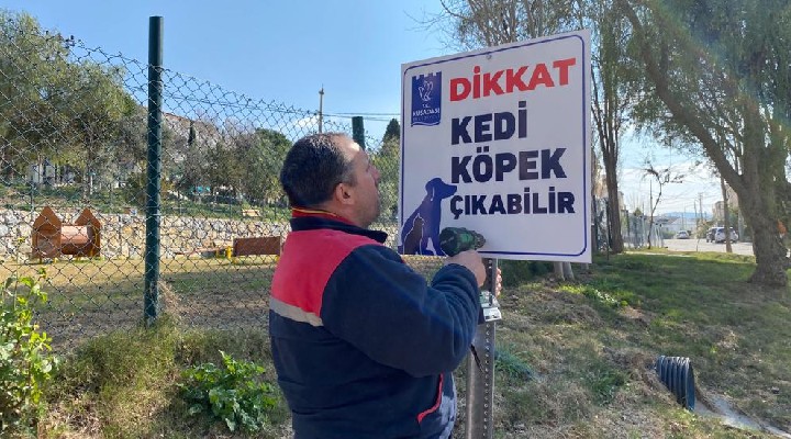 Kuşadası nda örnek uygulama: Dikkat kedi-köpek çıkabilir