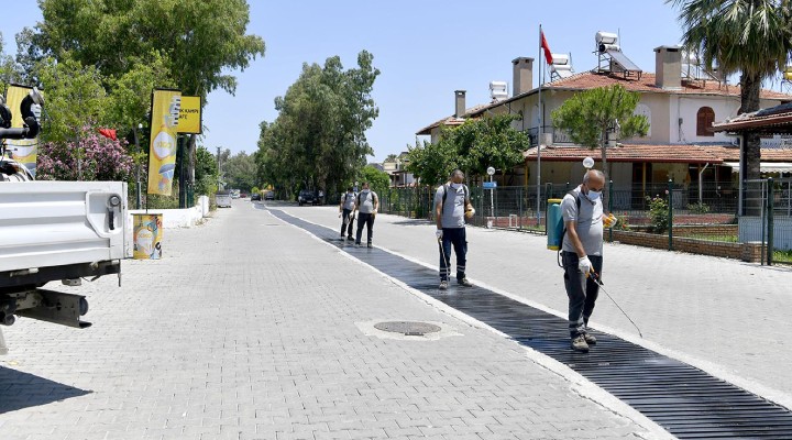 Kuşadası nda sivrisinek ve haşerelerle düzenli mücadele!