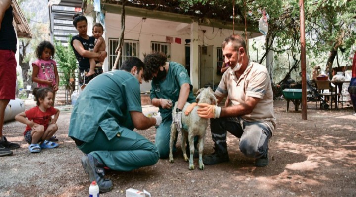 Kuşadası yangın bölgeleri için seferber oldu!