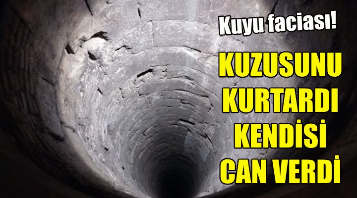 Kuzusunu kurtardı, kendisi can verdi!