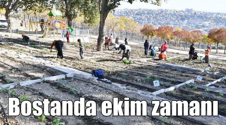 Mahalle bostanında ekim zamanı...