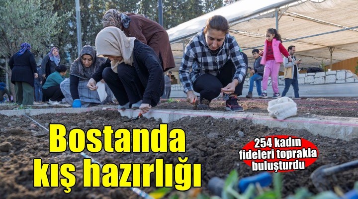 Mahalle bostanlarında kış dikimleri başladı