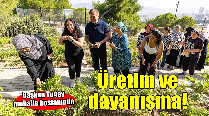 Mahalle bostanlarında üretim ve dayanışma büyüyor