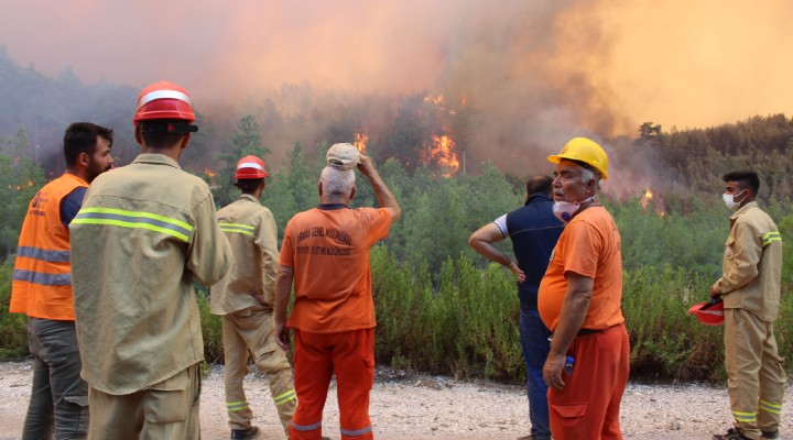 Manavgat ta bilanço: 7 insan, on binlerce hayvan ve 60 bin hektar orman kaybedildi