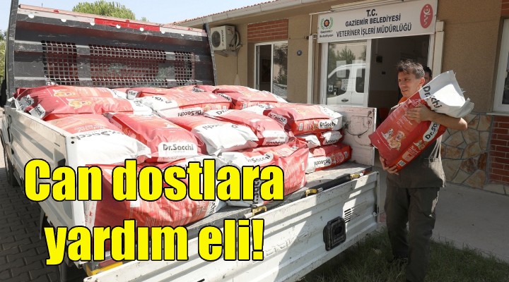 Manavgat’taki can dostlara yardım!