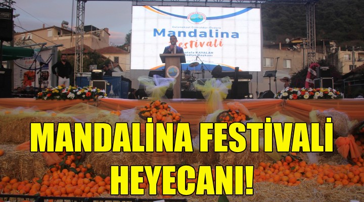 Mandalina Festivali heyecanı!